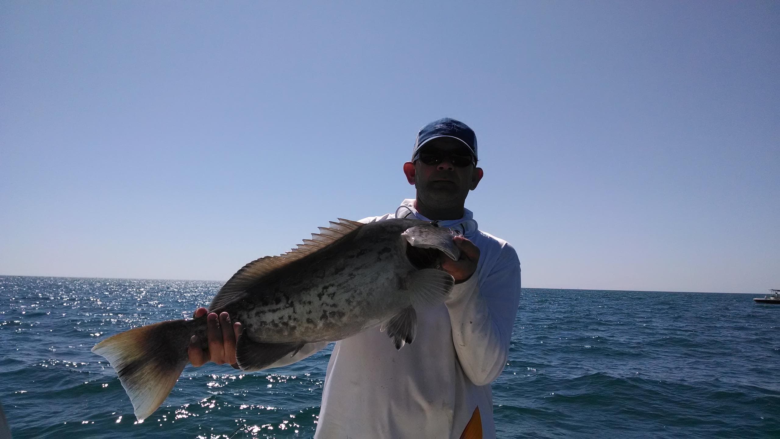 Nearshore Fishing Charter with SiestaKation in Sarasota