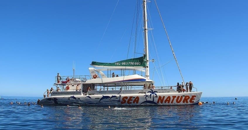 Whale & Dolphin Watching with Experiences Madeira in Funchal