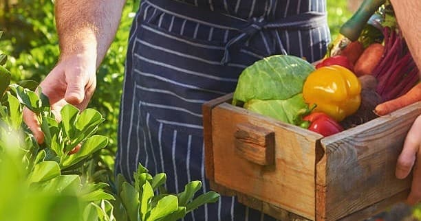 Farm to Table Experience at Reiman Gardens