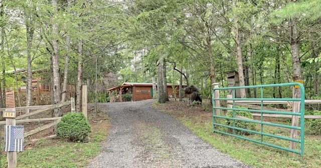 Black Bear Holler Cabins: Murphy NC Cabin Retreat