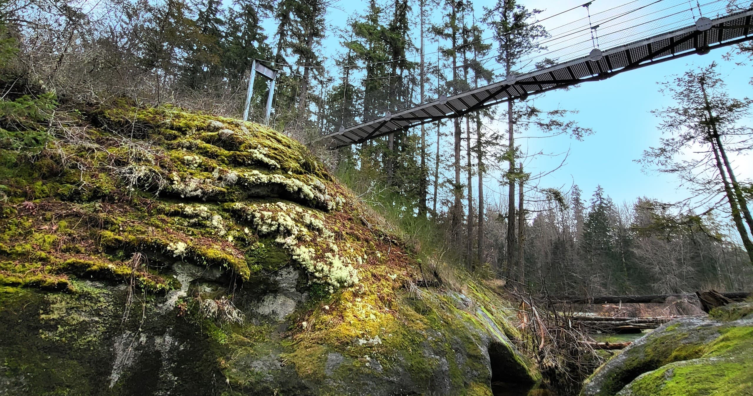 Forest Walking Tours in Victoria, BC: Explore Nature’s Wonders
