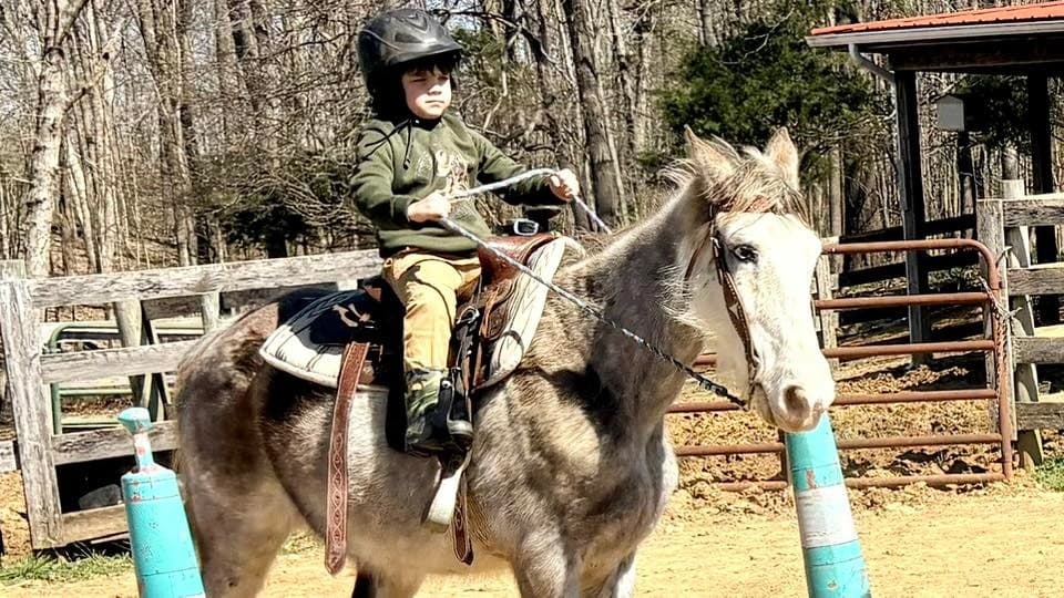 Two-Hour Western Horsemanship Lessons in Park City, KY photo 1