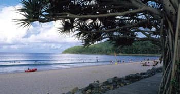 Secluded sandy beach framed by pandanus trees on coastline