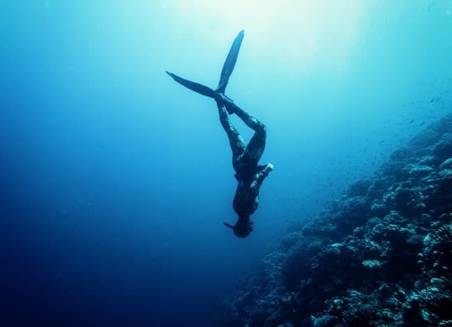 Master Freediving in Monterey with Bamboo Reef Scuba