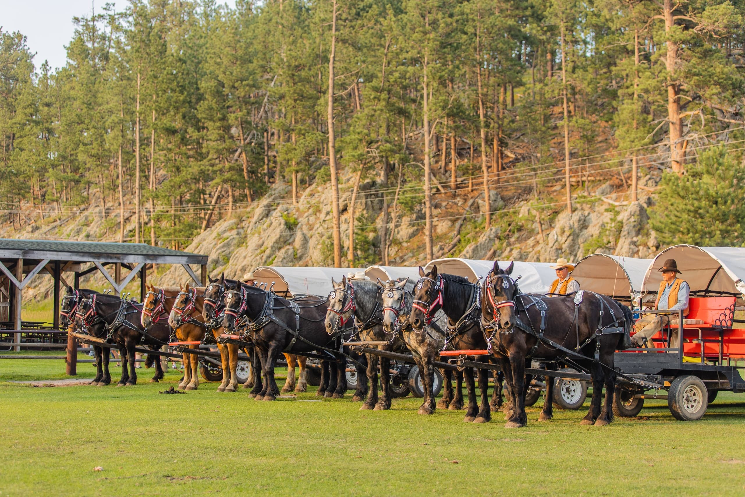 THE STABLES at Palmer Gulch fleet