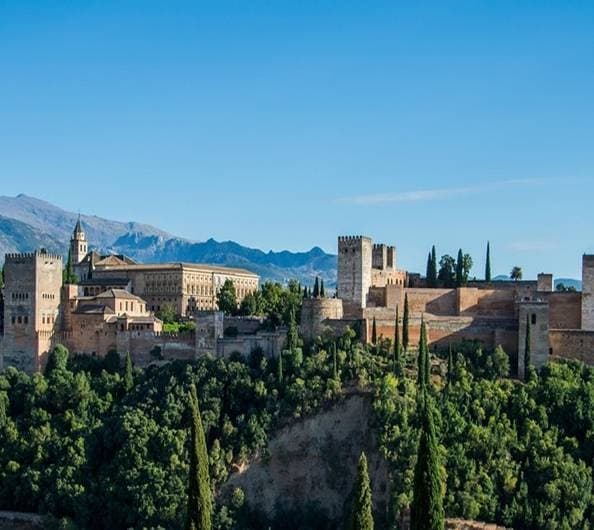 Day Trip to Granada with Andalsur Excursiones