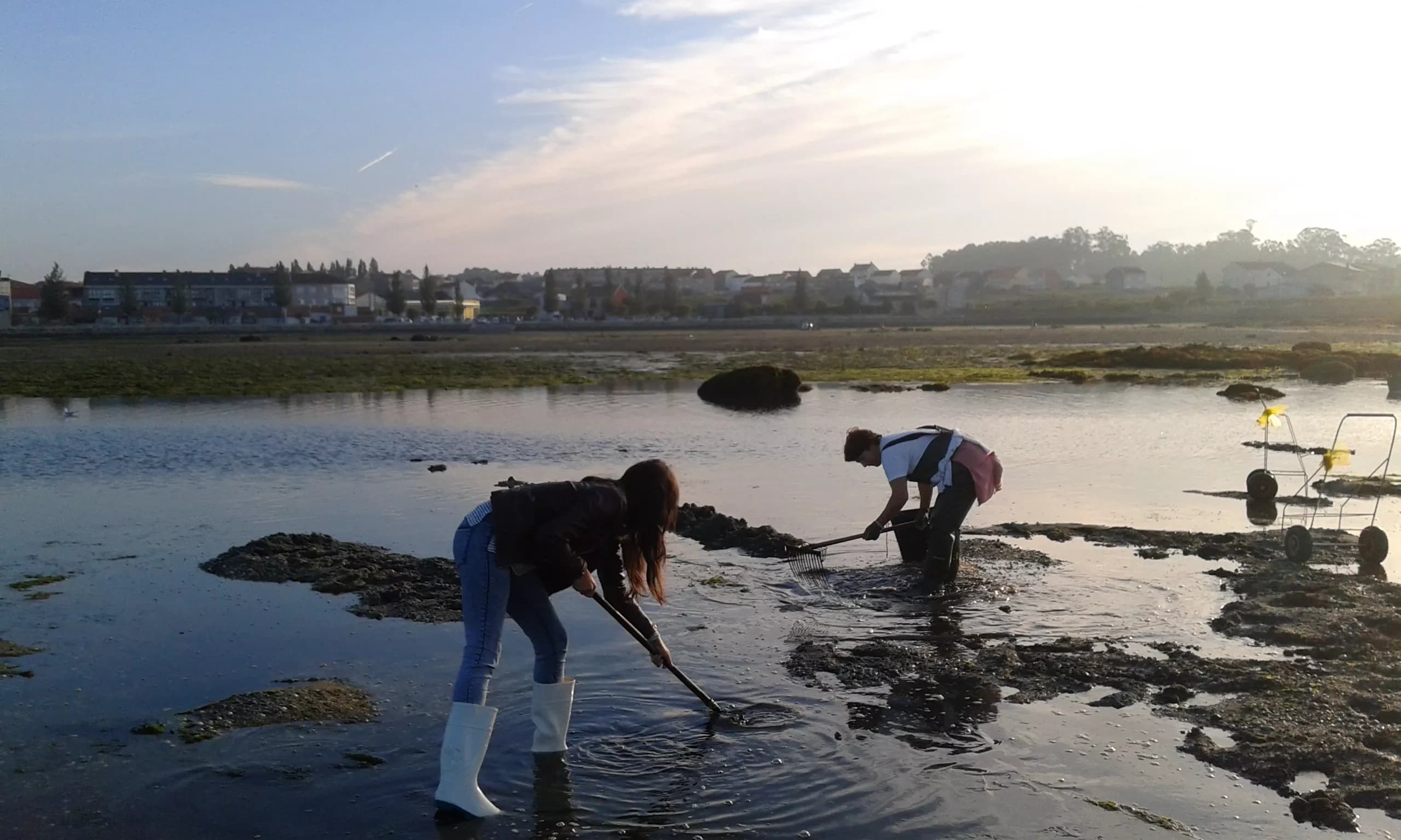 Shellfish Gathering Workshop with Bluscus Turismo Marinero