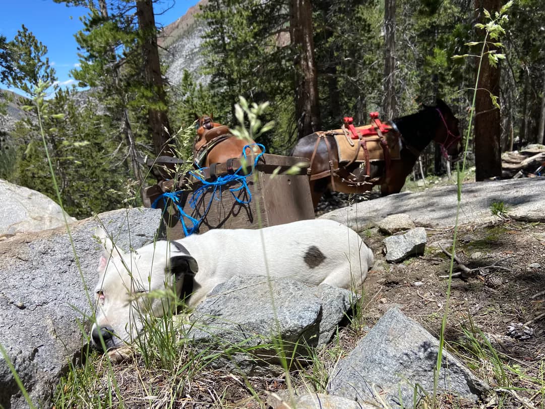 Eastern Sierra Resupplies: Keep Moving on the PCT and JMT from Bishop