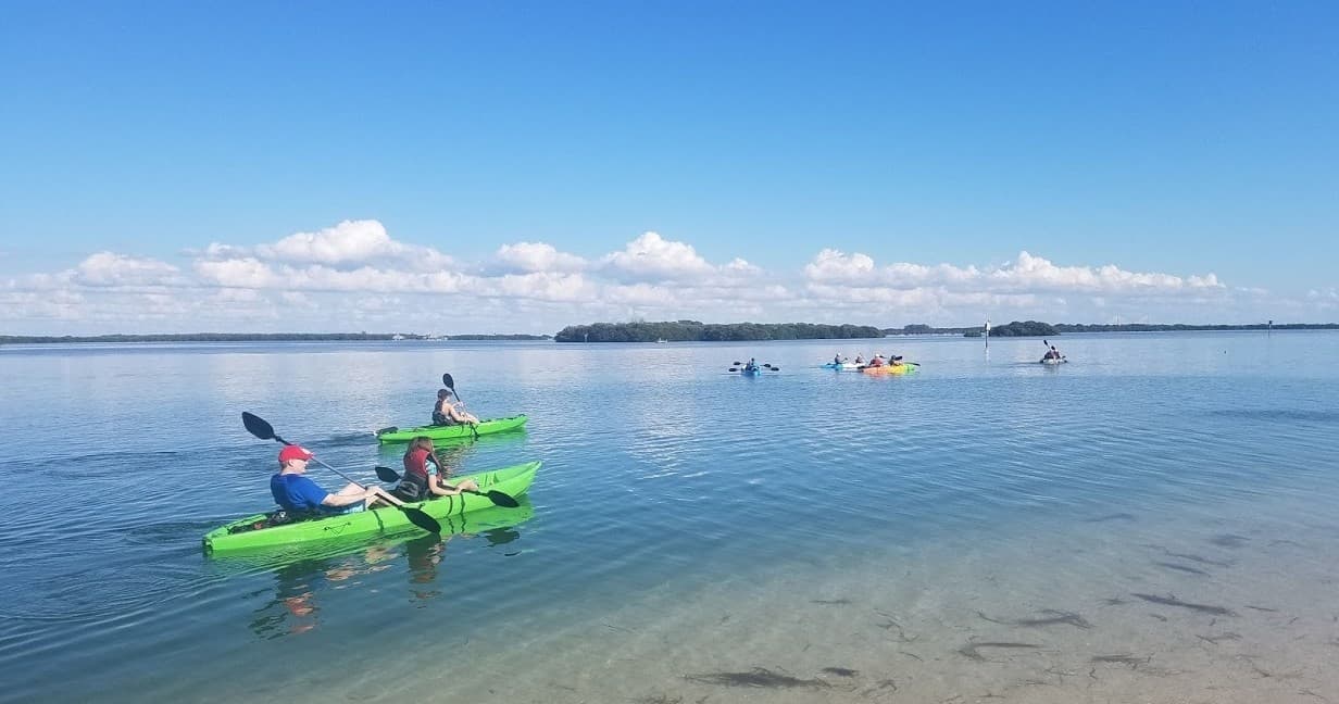 Kayakers paddling in clear coastal bay with sandy shore