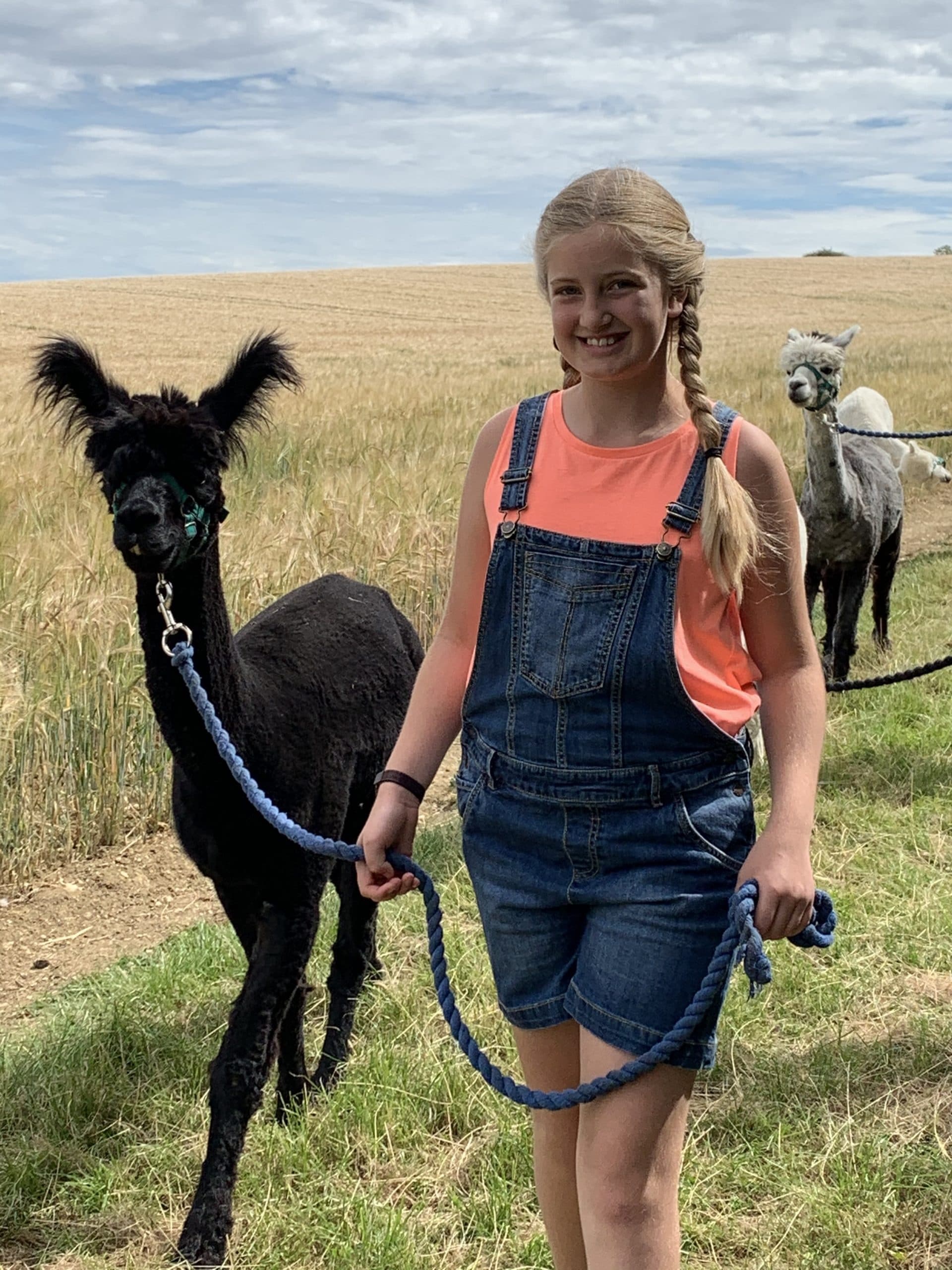 Hilly Ridge Alpacas team