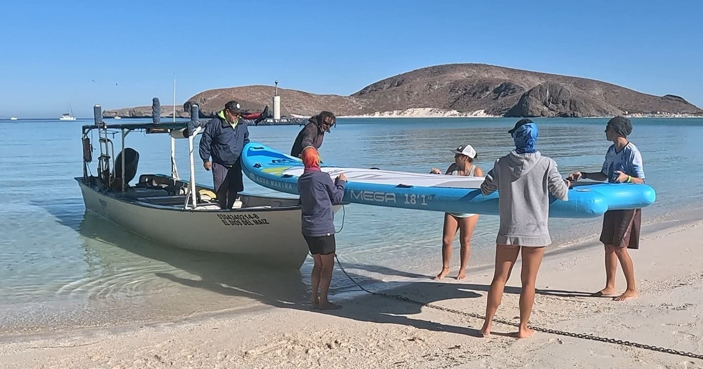 Paddleboard Sea Lion Tour with Eco Migrations in La Paz