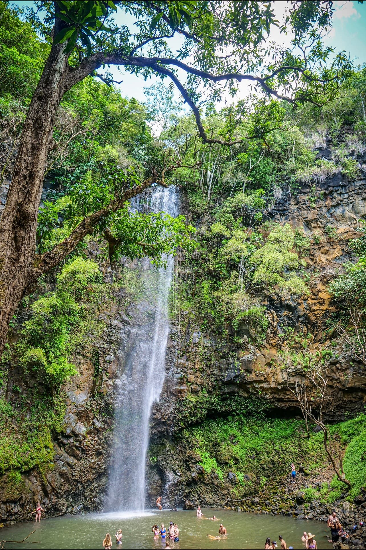 Pono Kayak Rentals Kauai — Delivered Kayaks for Self-Guided Paddling in Kapaʻa