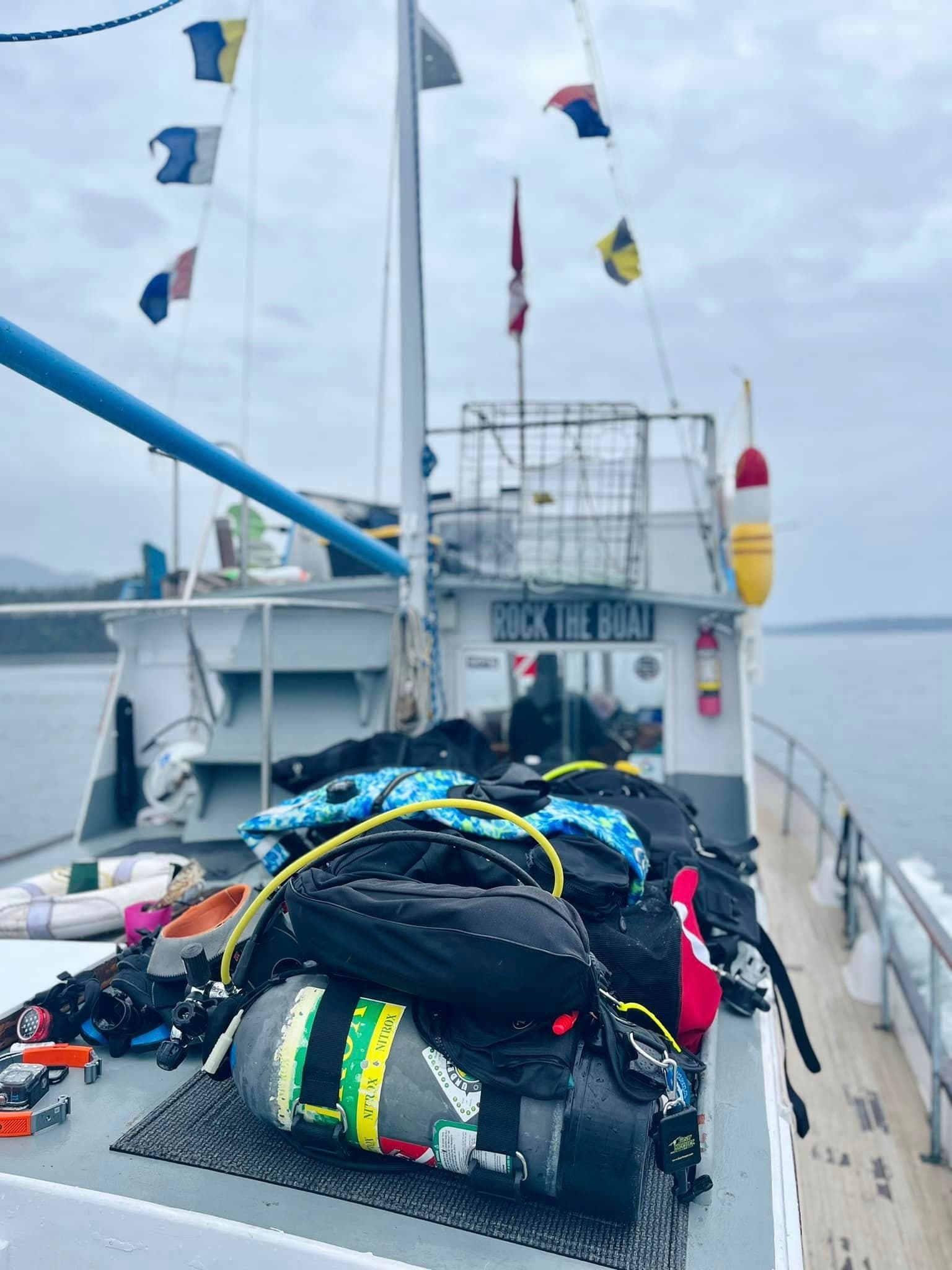 Hood Canal Dive & Dine: Two Guided Dives and Chef Lunch Aboard a Classic Grand Banks photo 3