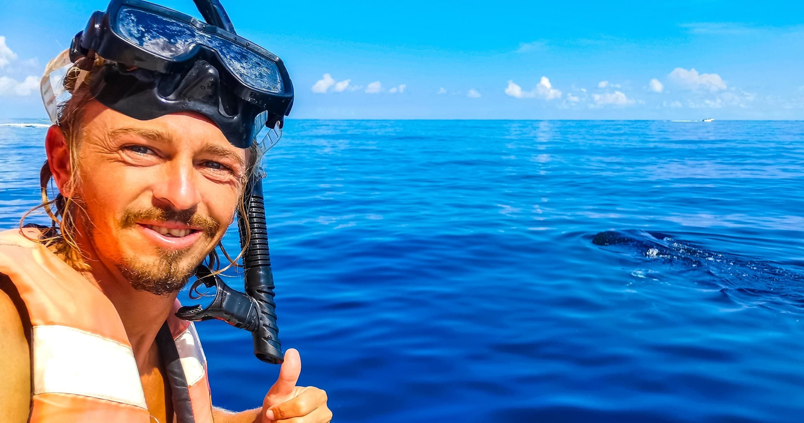 Swim with Whale Sharks in Holbox with Holbox Travel