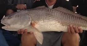 Angler holding large redfish on boat, close-up surf fishing catch