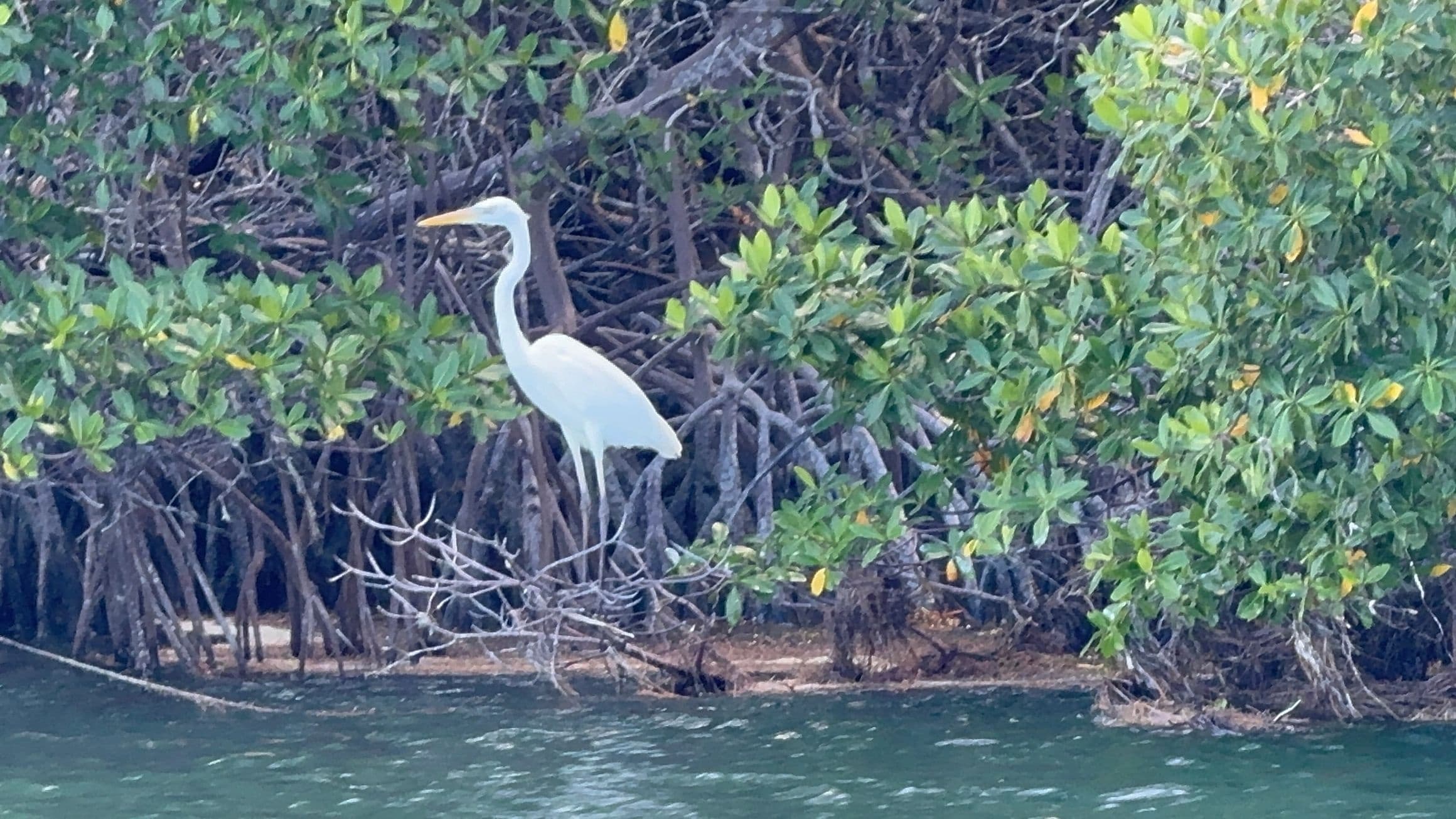 Water Activities in Key West with Namaste Here LLC