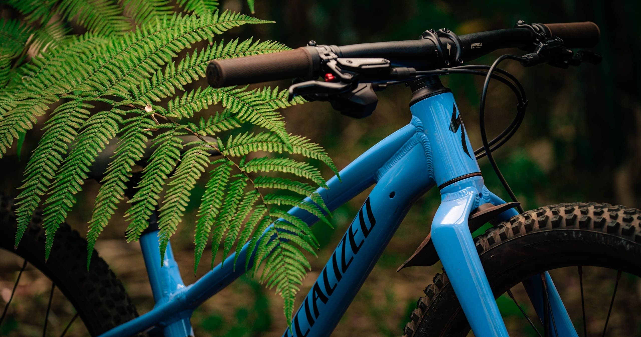 Kids Bike Hire Adventures with Ride Whitsunday