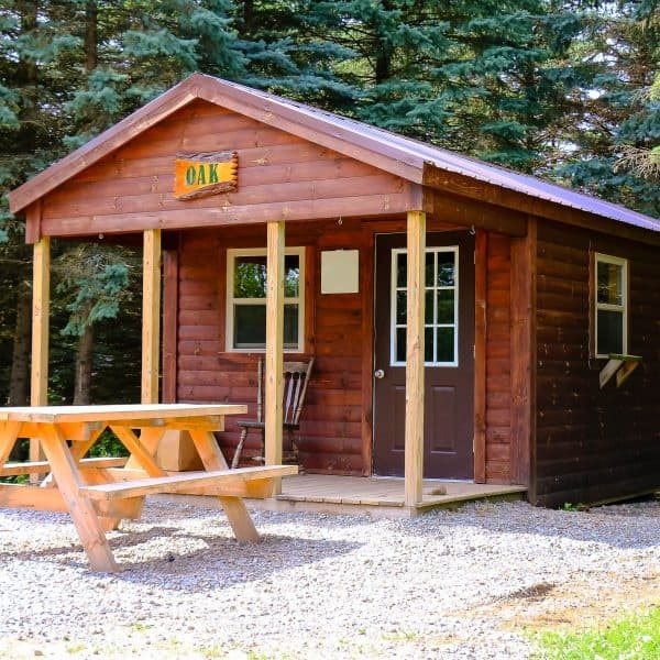 Off-Grid Comfort at Oak Cabin: Electric Cabin Stays Near Andover, NY photo 1