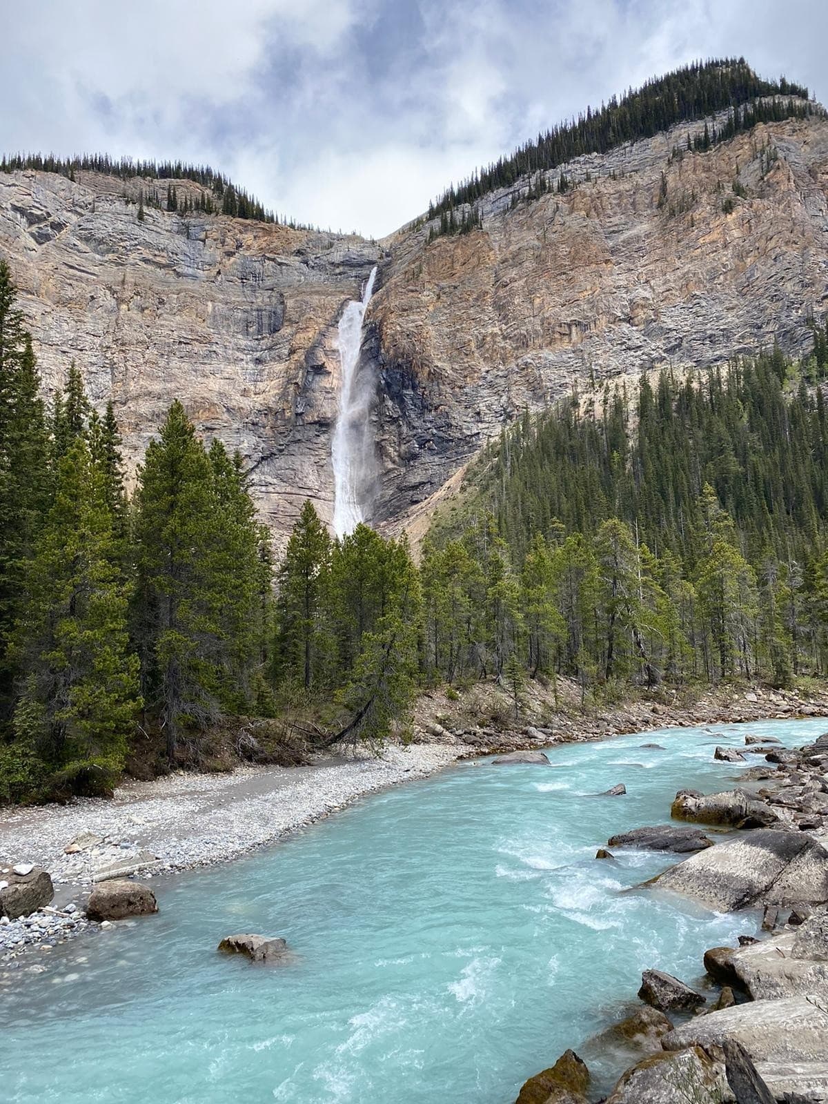 Evening Wildlife & Landscape Tour: Banff Evening Wildlife Photography photo 4
