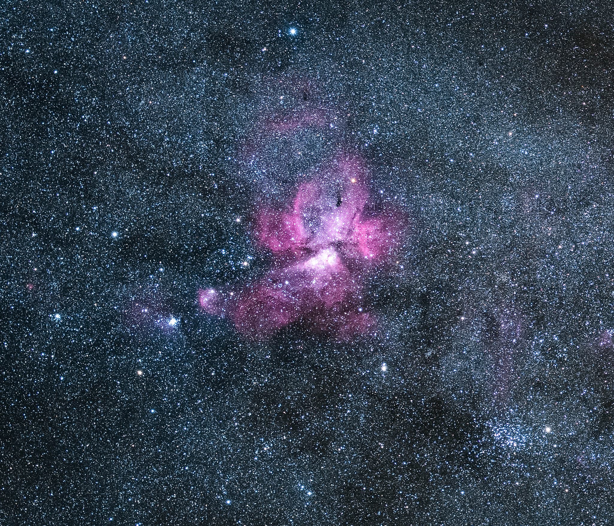 Night Sky & Astronomy - Couple's Stargazing in Wairarapa