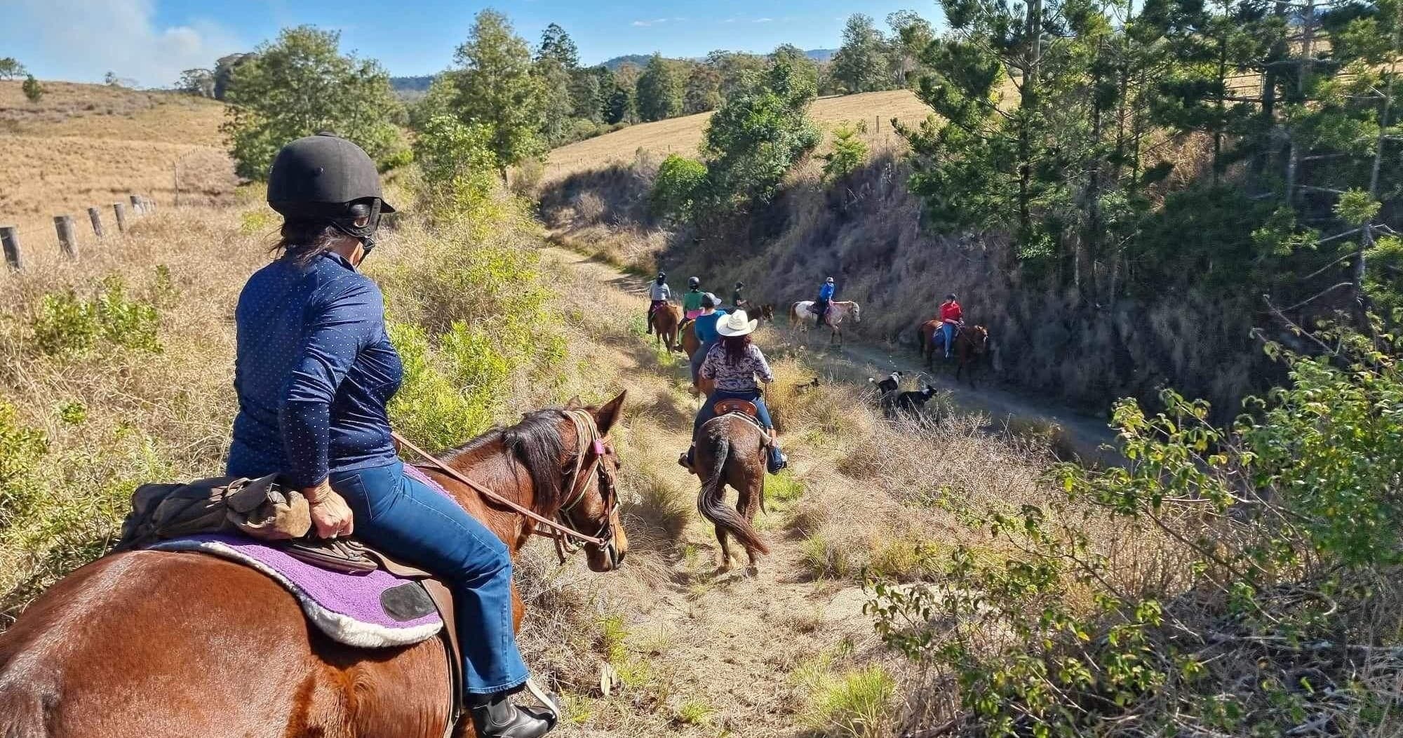 Forests of Somerset 3 Day Horseback Adventure in Queensland's Blackbutt North