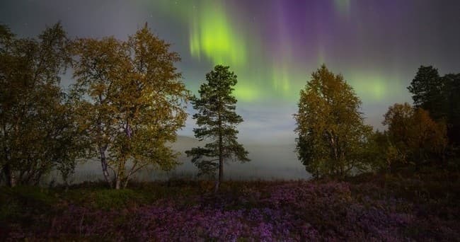 Outdoor Adventure: Aurora Hunting with Electric Fat Bike at Northern Lights Village Pyhä