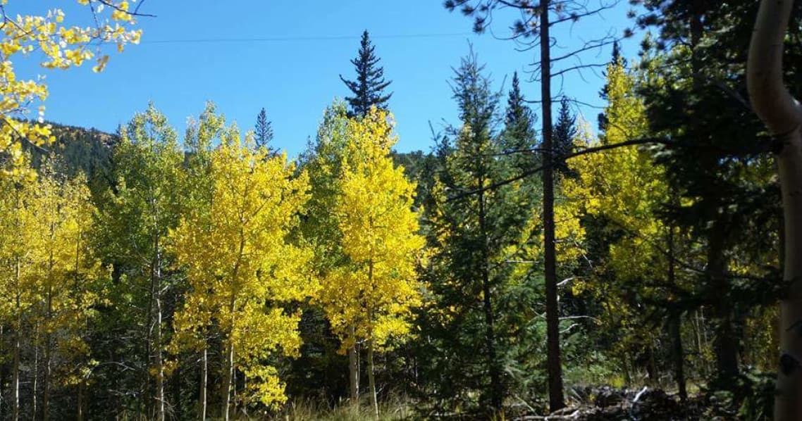 Mountain Tour in Breckenridge & Summit County with Adventure Scenic Tours