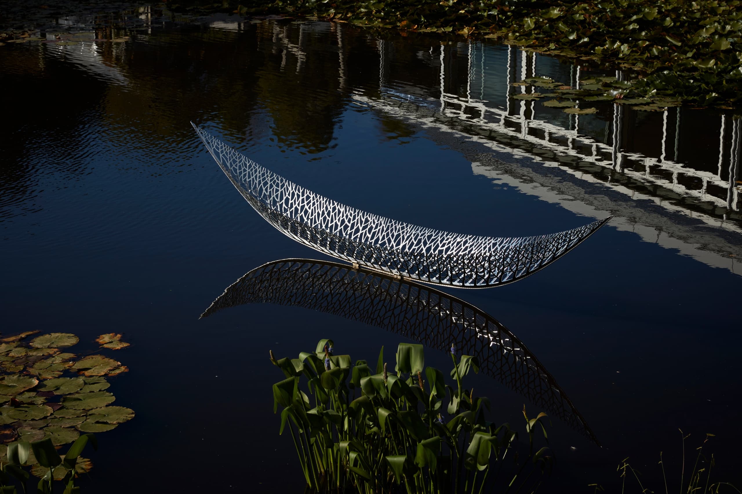 Matakana Art & Vineyard Tour with ExperienceKart Limited