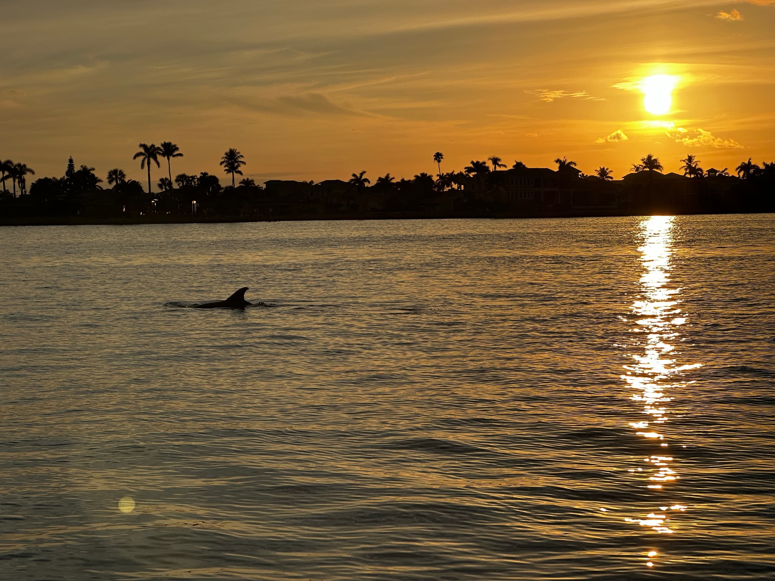 Florida Adventures and Rentals team