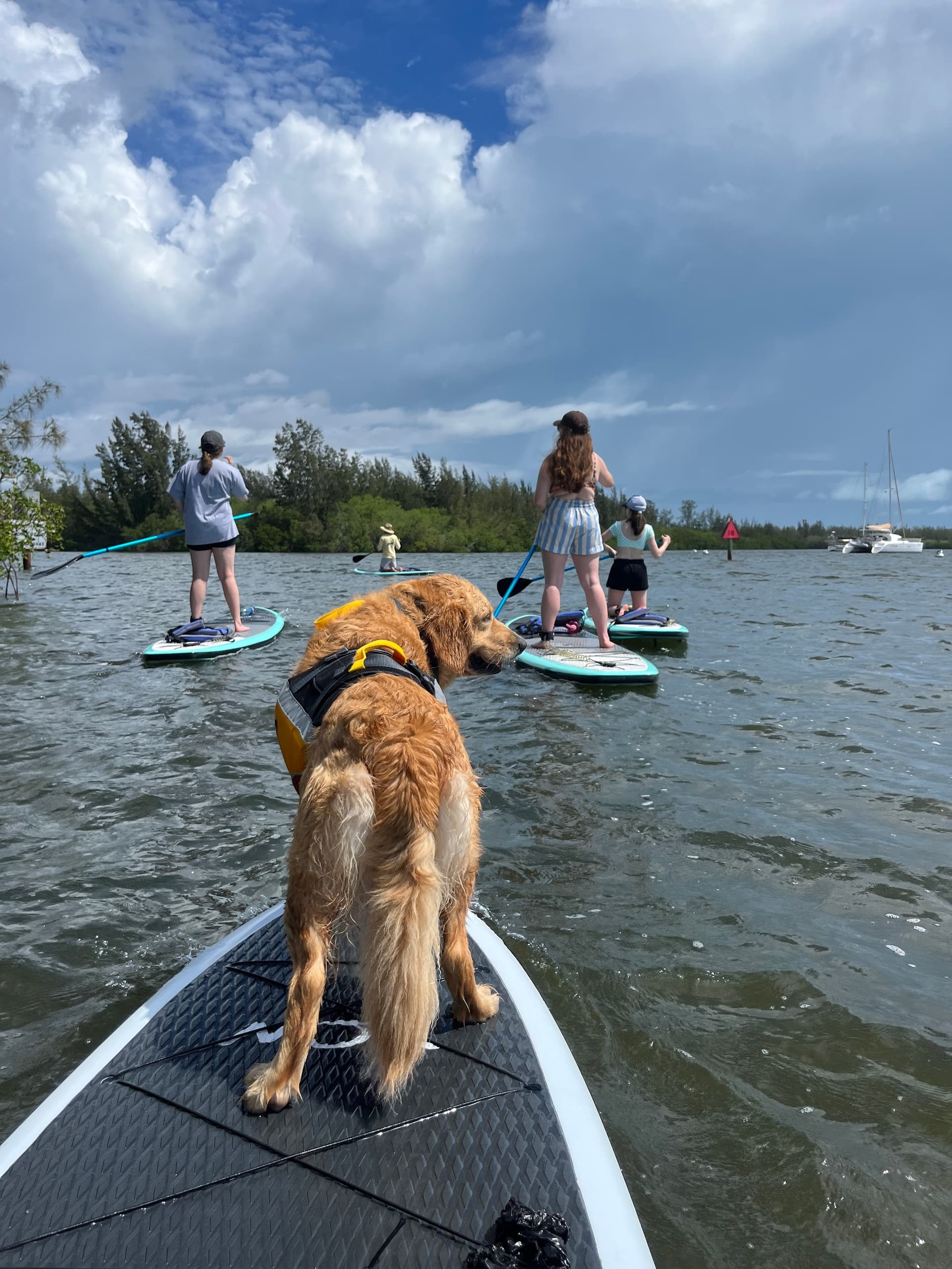 Vero Tackle & Watersports fleet