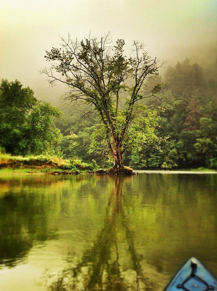 Explore Allegheny River with Single Kayak Rental in Warren, PA