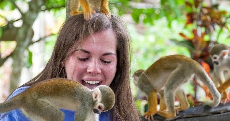 Thrill Rides & Wildlife Encounters with BestDRExcursions in Punta Cana
