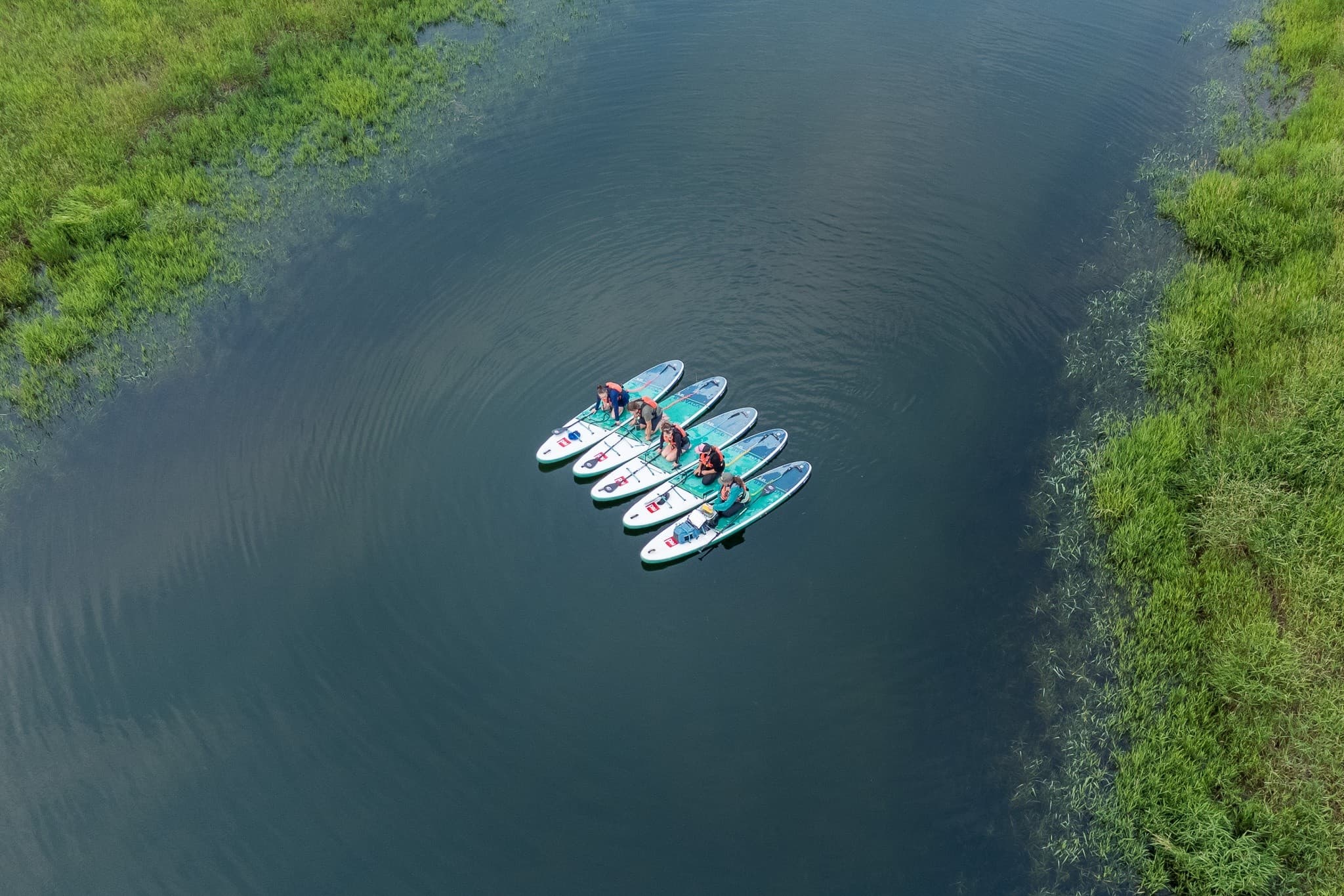 Morning Brunch SUP Paddle at Echo Valley Provincial Park: Mindful Lakeside SUP and Brunch