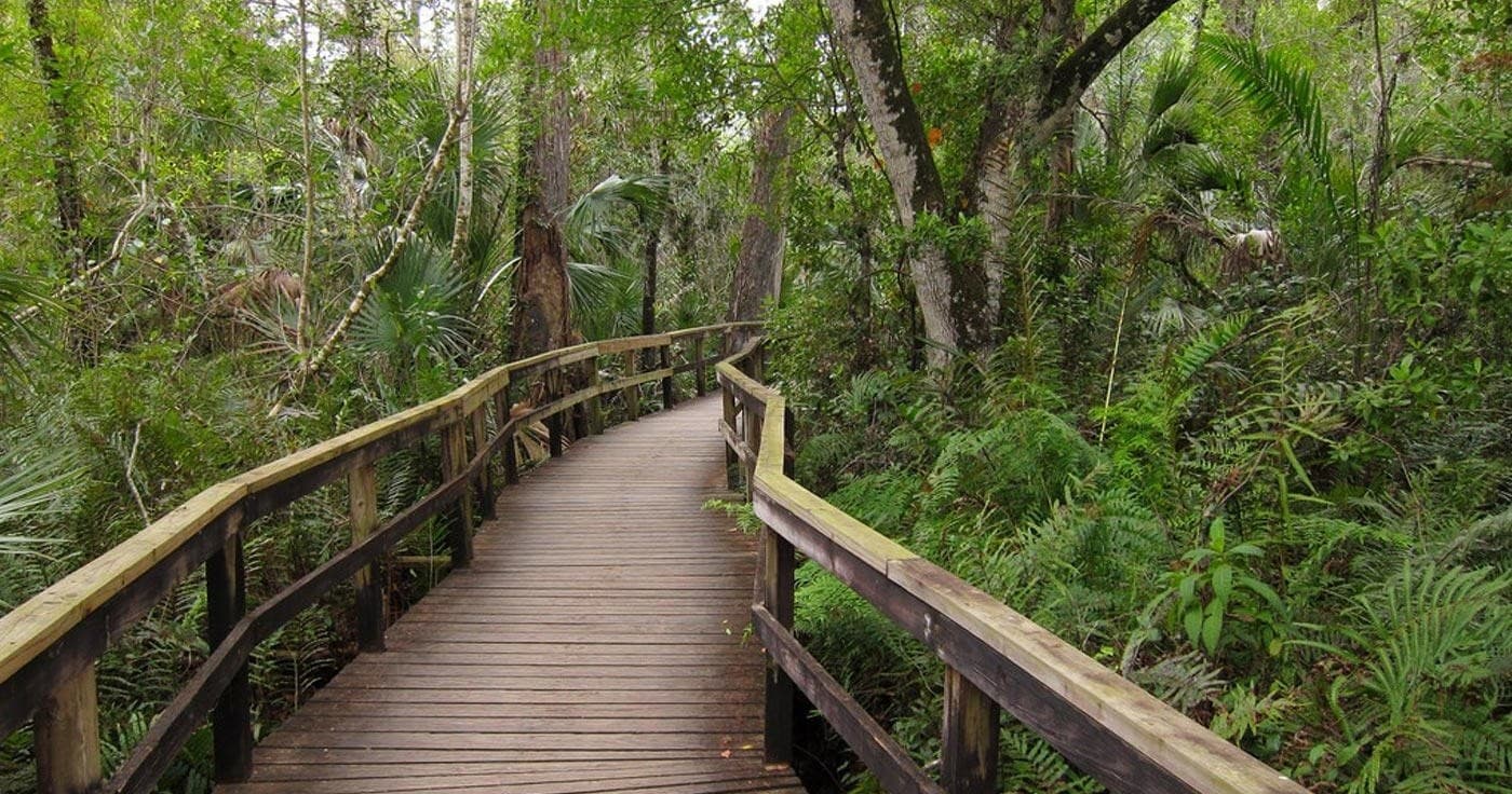 Explore Iconic National Parks on the Fab Four Multi-Day Tour from Florida
