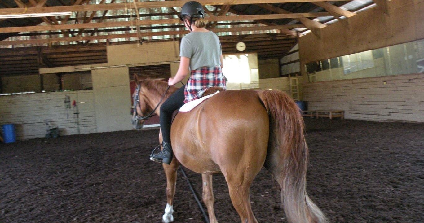 Rider practicing on chestnut horse inside an indoor riding arena
