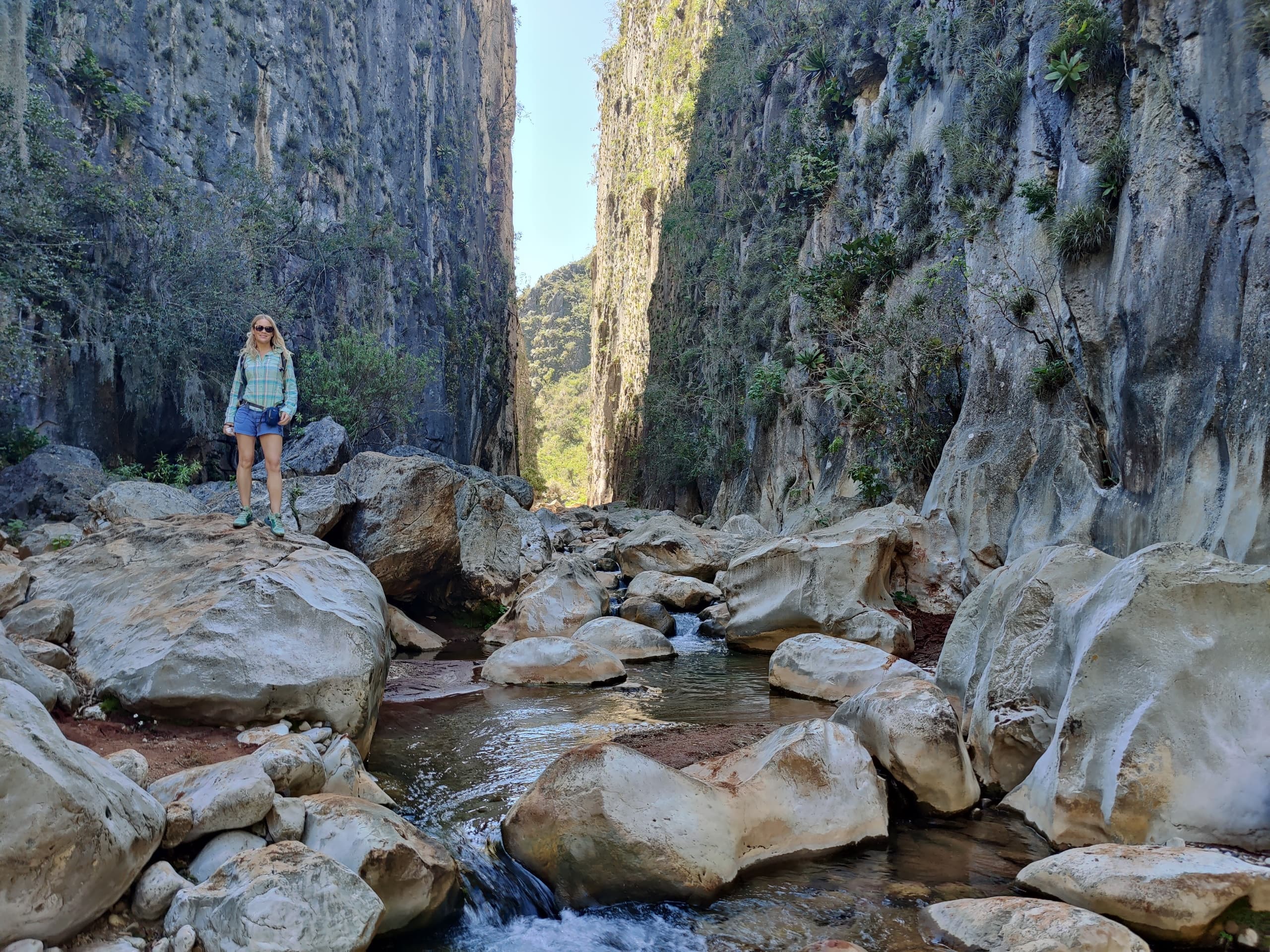 Hike & Swim at Apoala Waterfalls with Coyote Aventuras