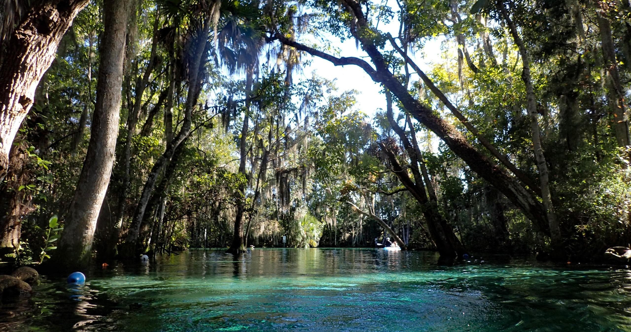 Private River Sightseeing Cruise in Crystal River, Florida