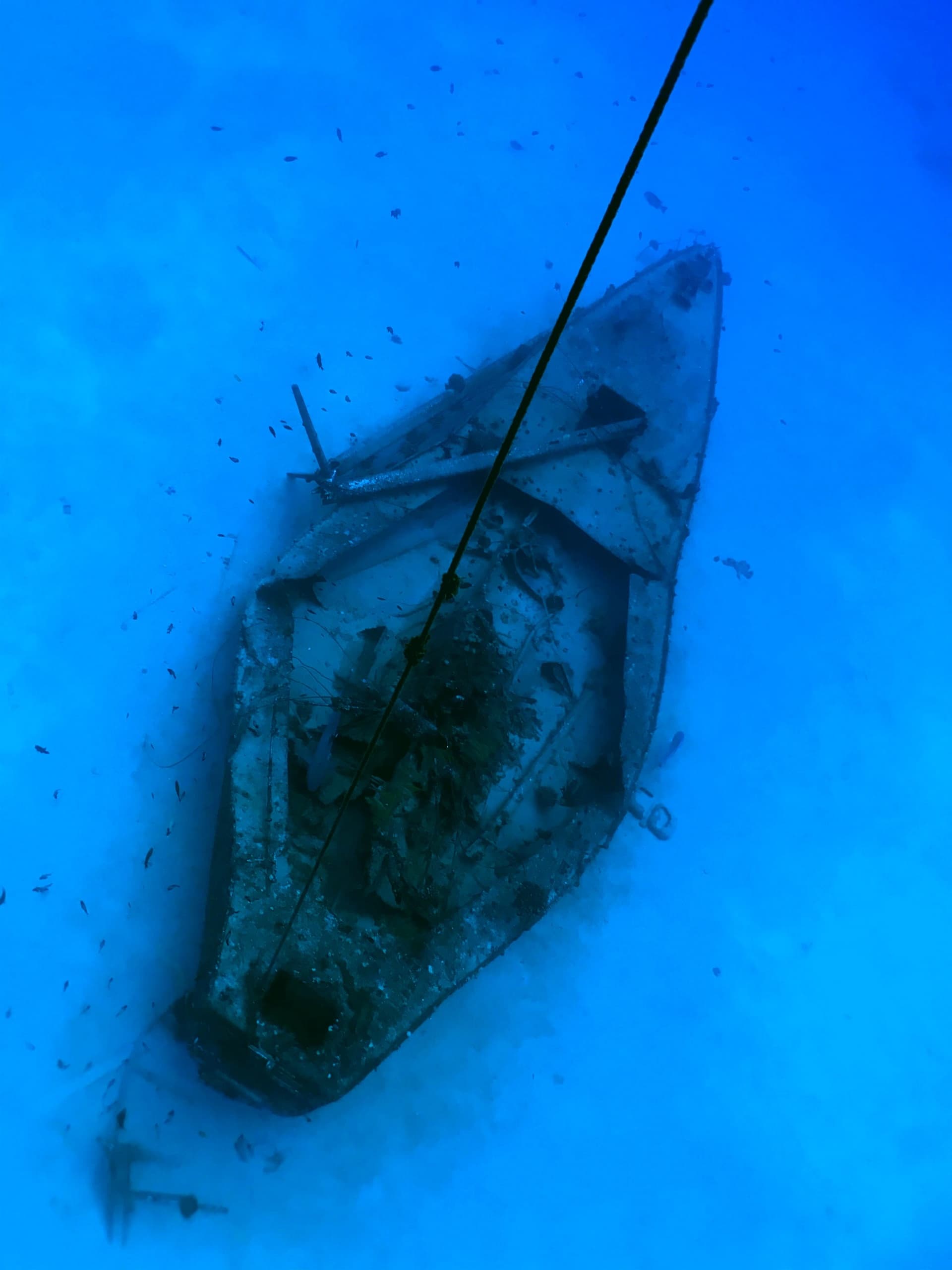 Kailua Bay Ship Wreck Dive with Kona Shore Divers