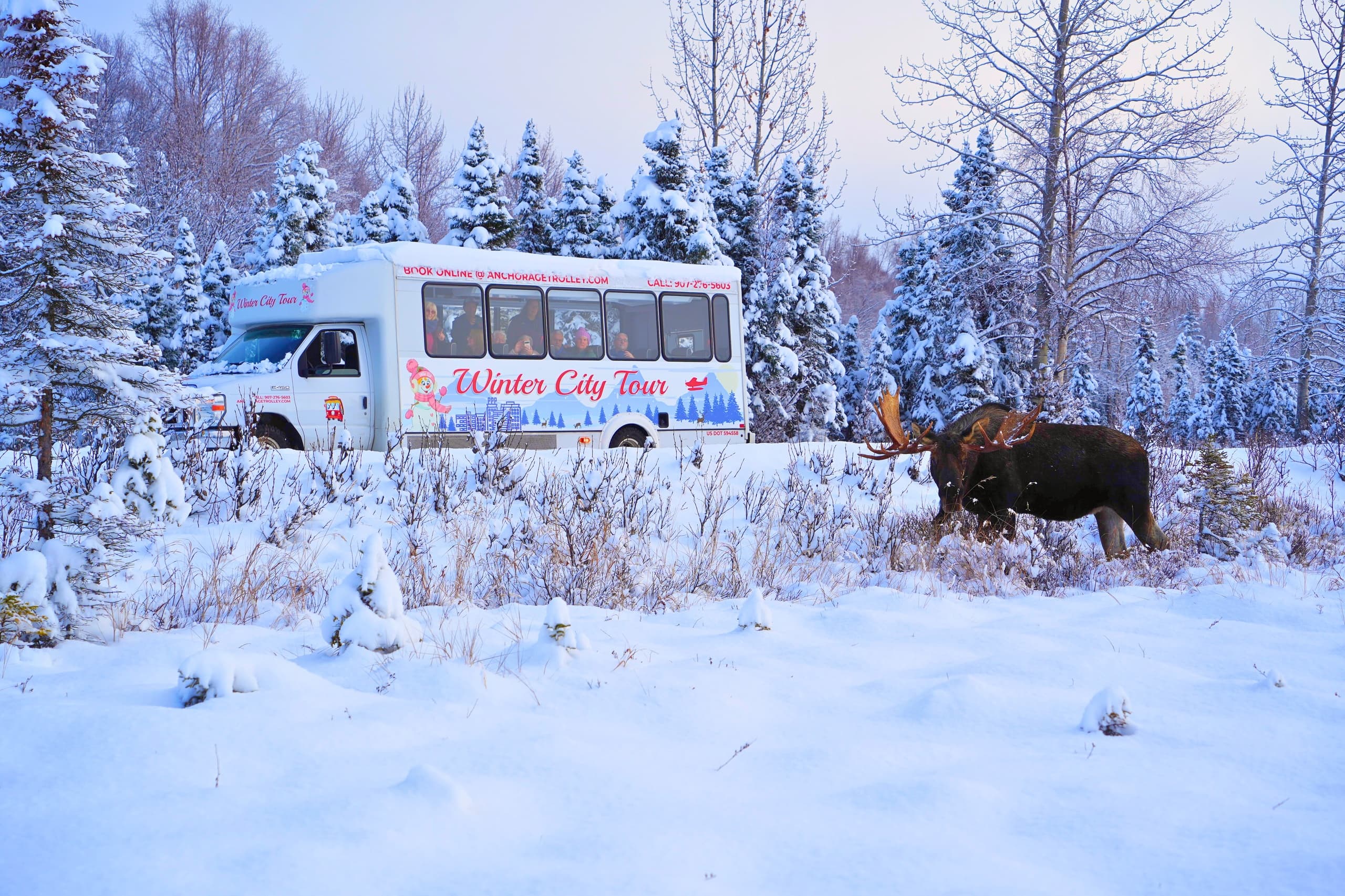 Anchorage Trolley Tours team