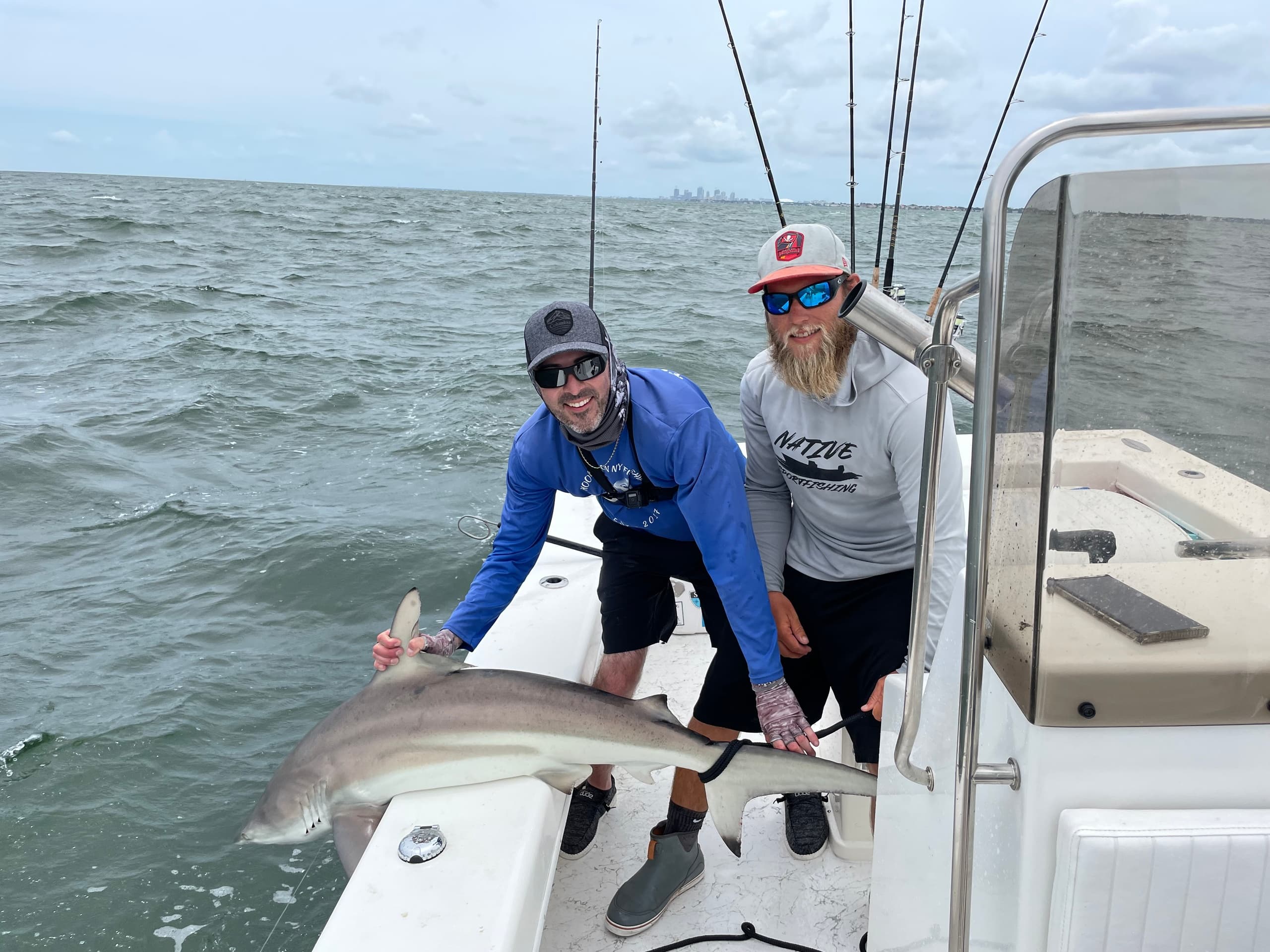 Inshore Shark Catch with Native Sportfishing in St. Petersburg