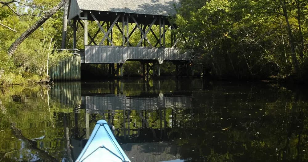 Glide the Kitty Hawk Woods: Maritime Forest Kayak Tour on the OBX