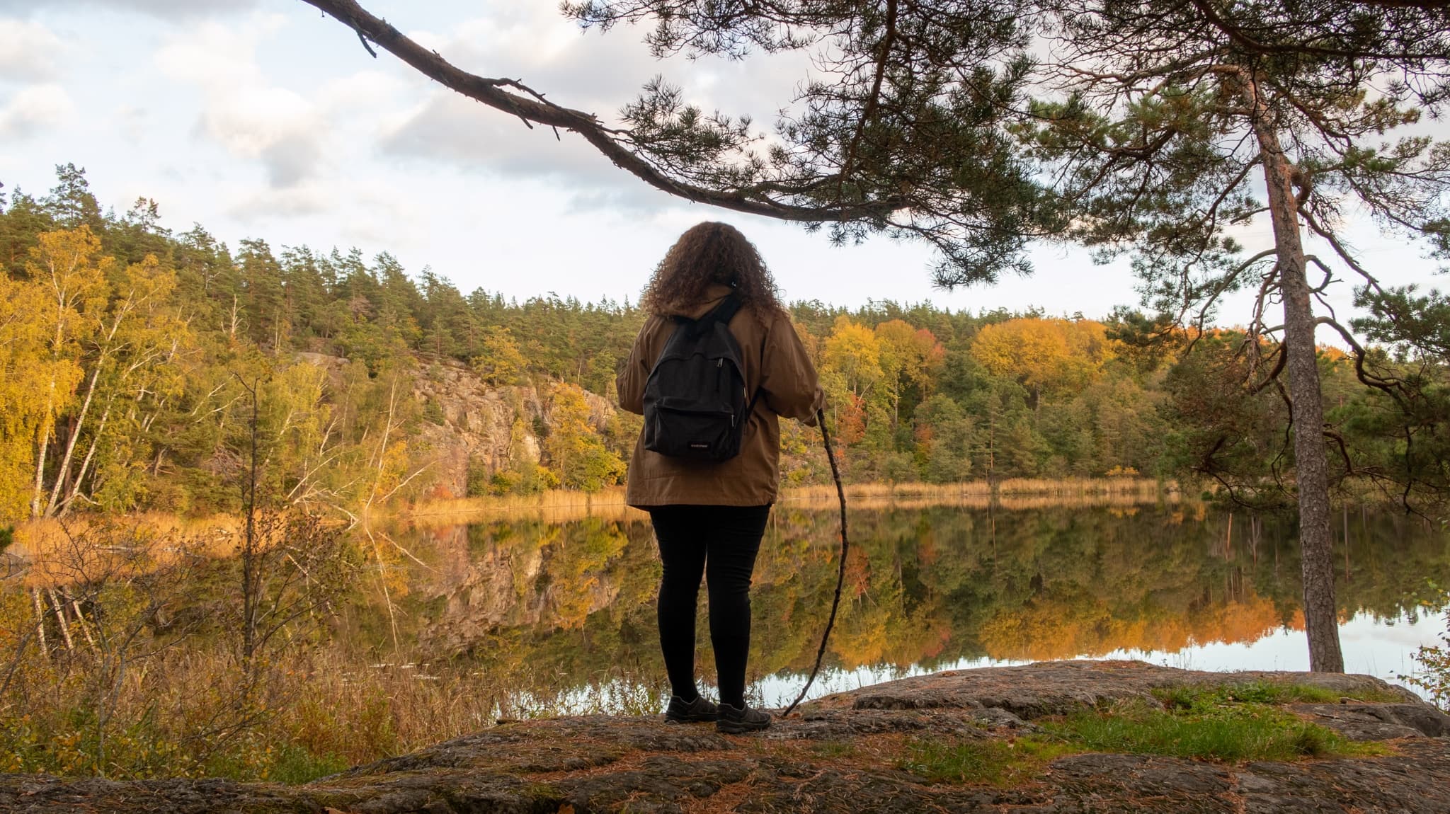 Wildlife & Foraging Adventure in Stockholm