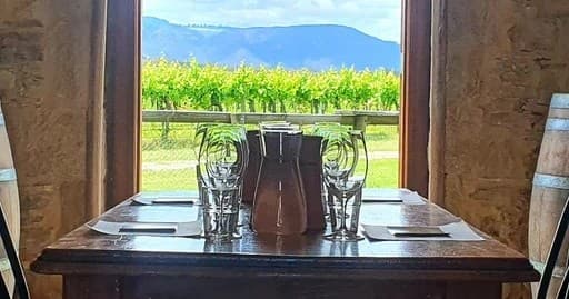 Wine Tasting & Vineyard Tour at VOYAGE DU VIN