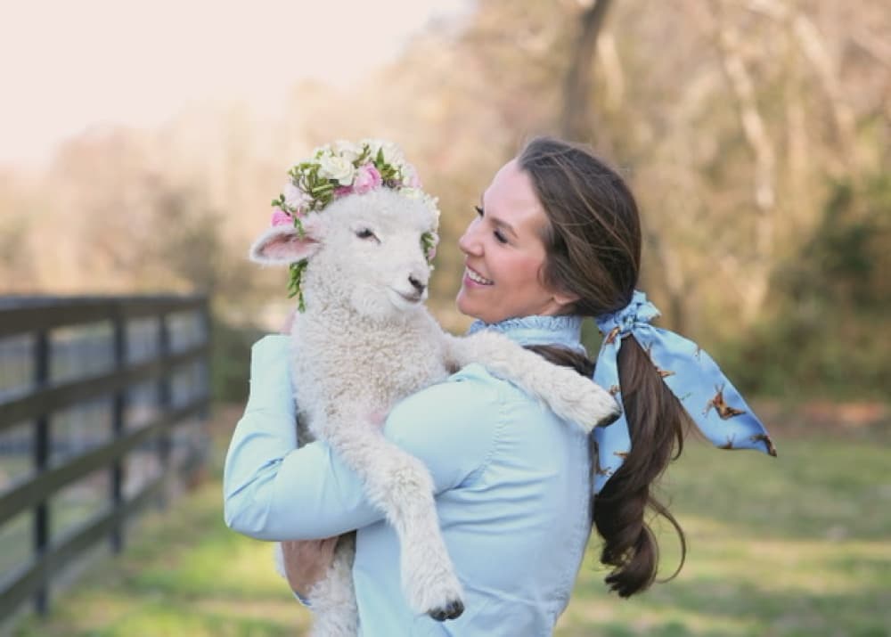 Wine, Lavender & Lambs Tour by Delmarva Discovery Tours