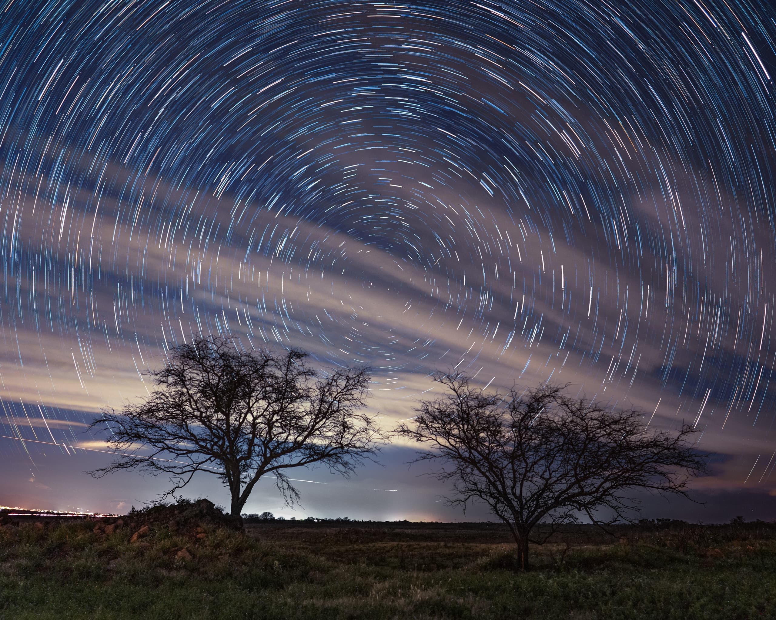 Star trail panorama swirling over lone trees in open field