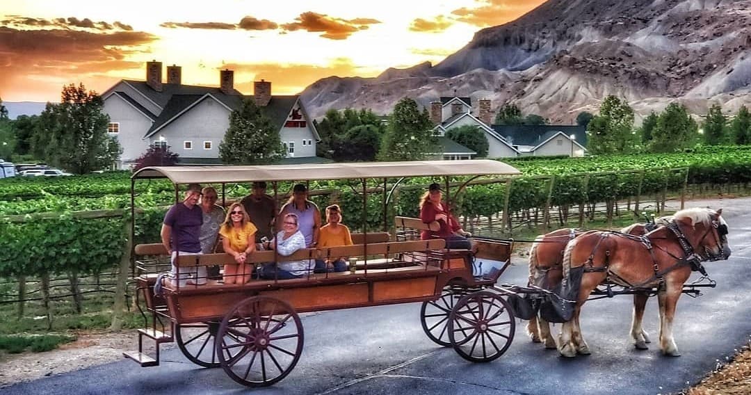 Land Adventures with JR’s Carriage Service: Sunset Riding Experience