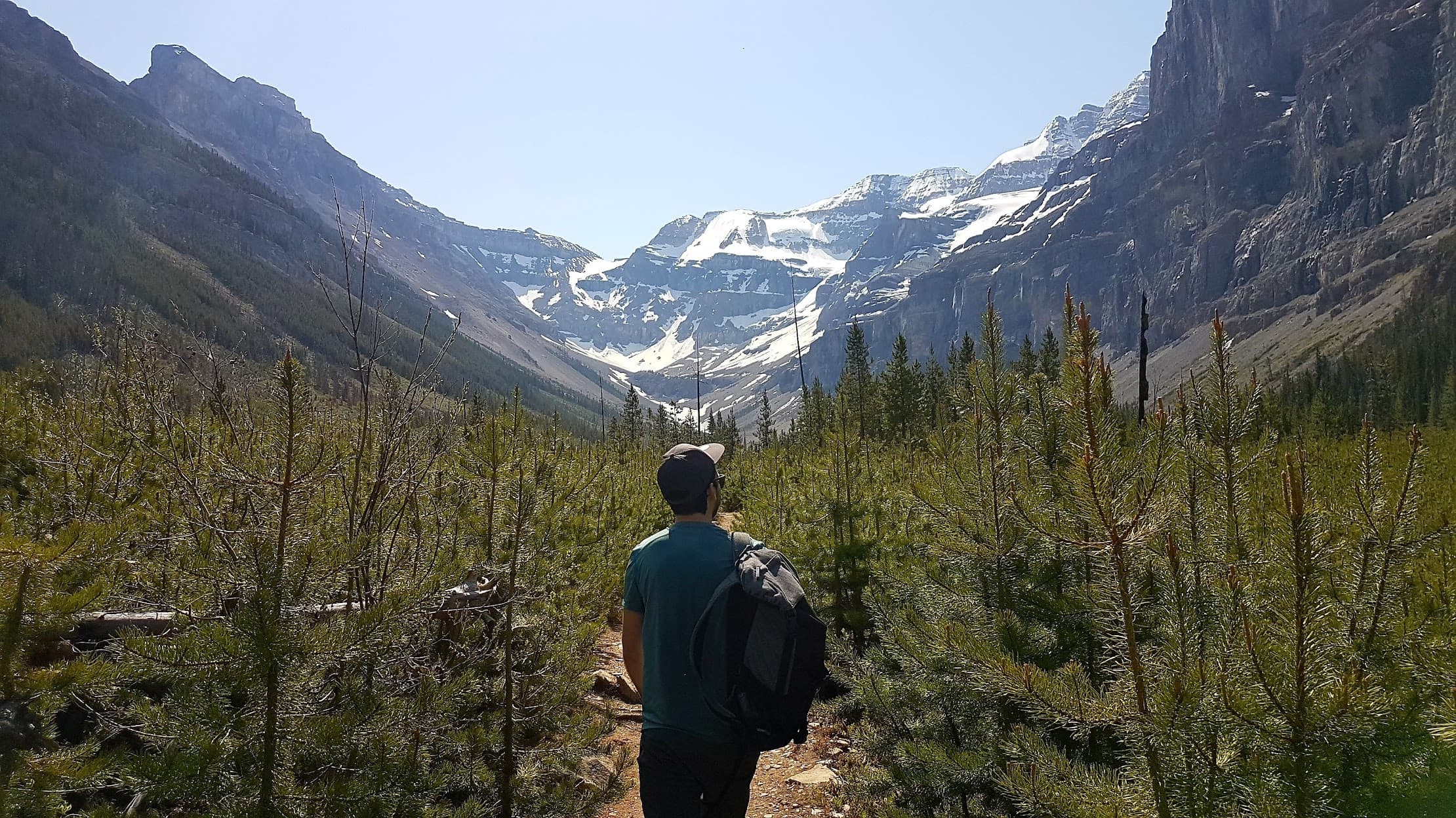 Guided Hiking Along Stanley Glacier Trail by Explore Banff Tours