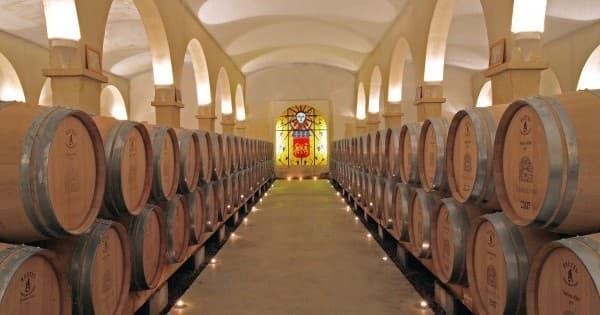 Land & Culture: Provence Special Wine Tour by Farm Experiences & Tours