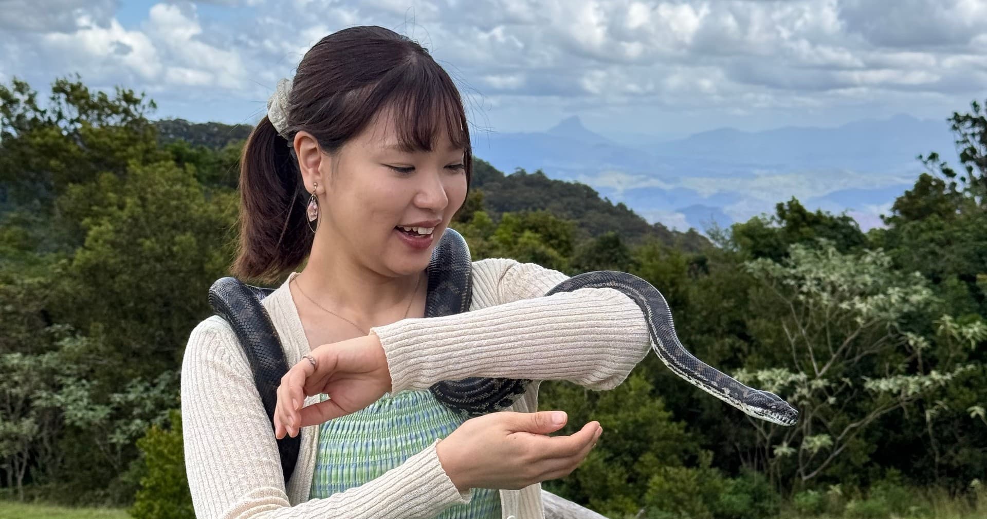 Land Adventures: Lamington Tour at Paradise Tours