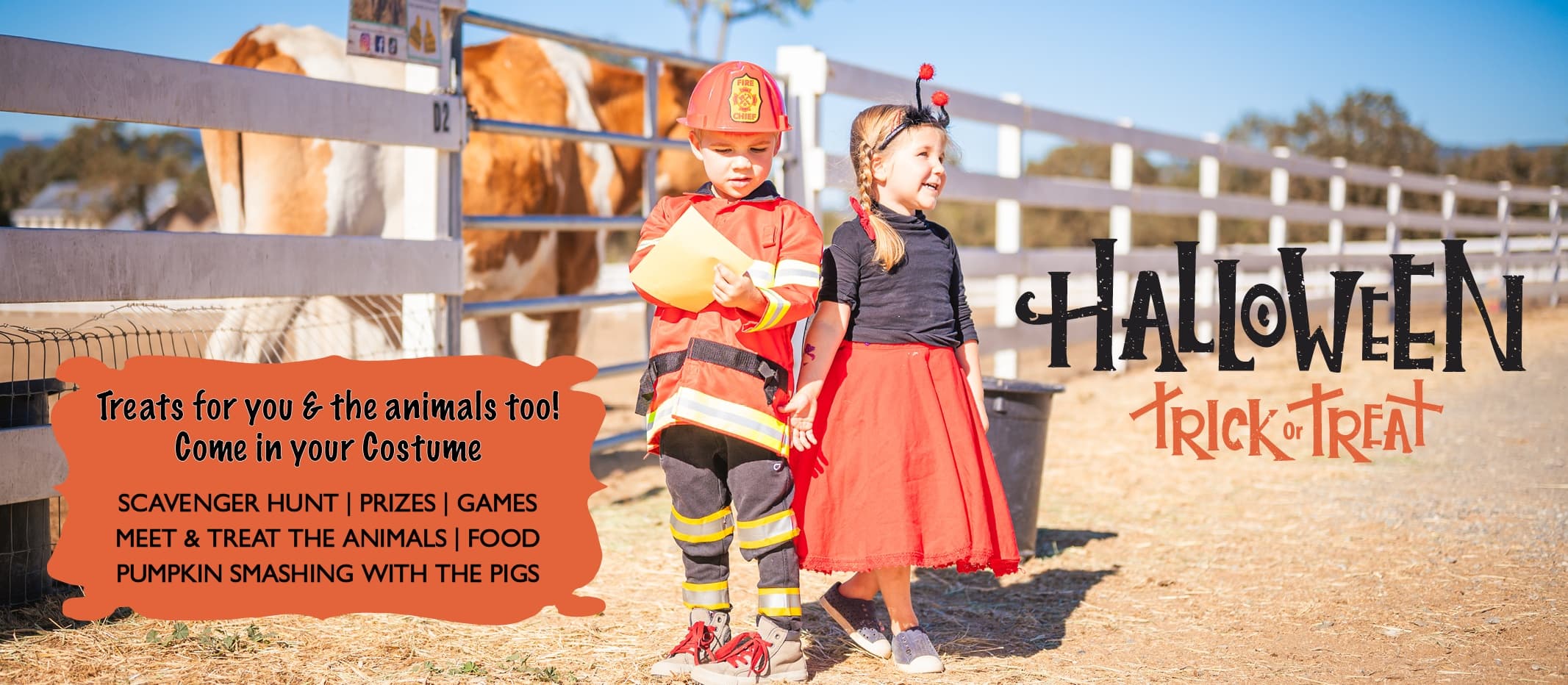 Family-Friendly Halloween Fun at Charlie's Acres in Sonoma, California